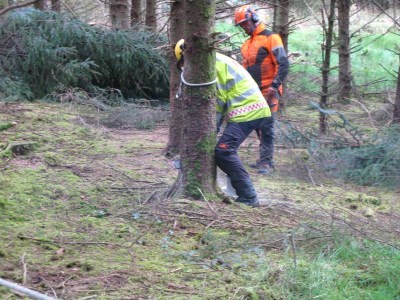 Chainsaw training